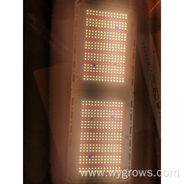 Samsung lm301b quantum board grow light 240W